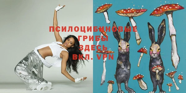 не бодяженный Белокуриха
